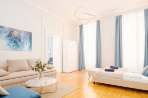 Very Spacious Apartment Close to AKH